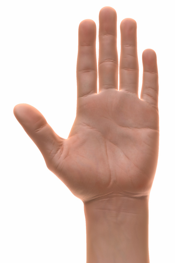 hand.jpg