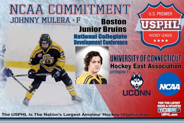 www.usphl.com