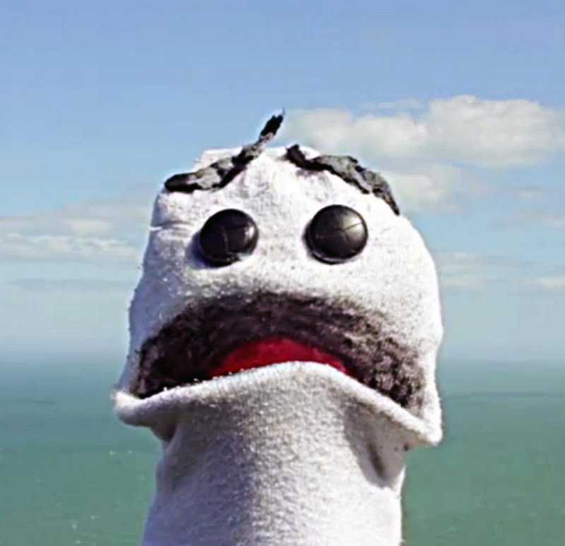 sock+puppet+.jpg