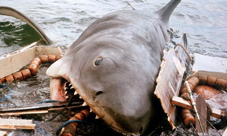 JAWS-FILM-STILLS-1975-006.jpeg