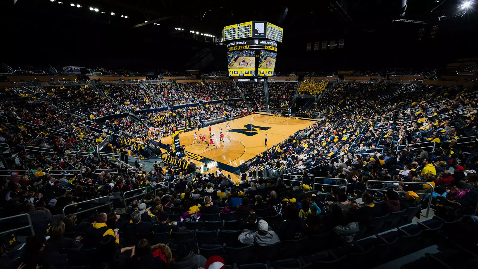 mgoblue.com