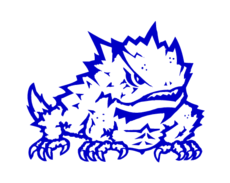 tcu_thumb.png