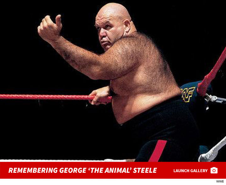 0217-remembering-george-animal-steele-launch-3.jpg