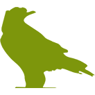 www.greenriverfestival.com