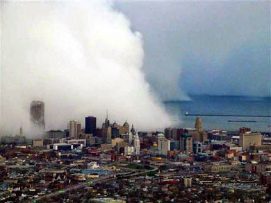 buffalo.jpg