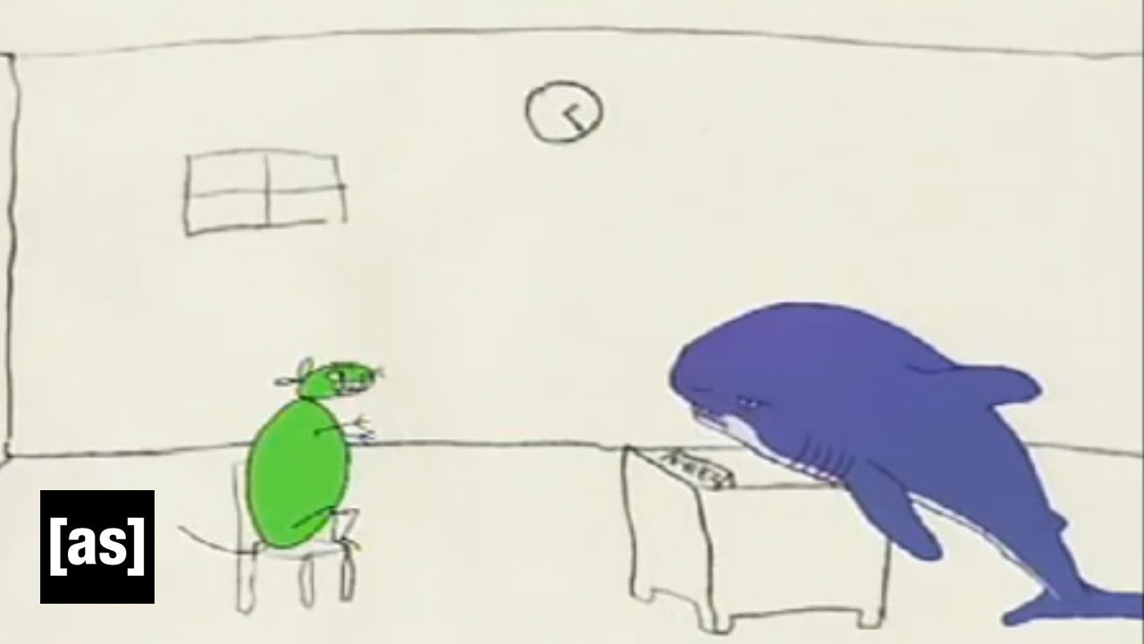 www.youtube.com
