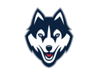 husky-animation_teaser.gif