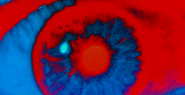 2001-eye-gif.gif
