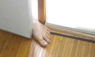 AFootInTheDoor.png