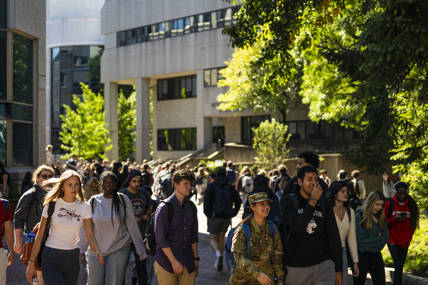 news.northeastern.edu