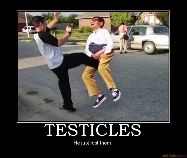 testicle-kick1.jpg