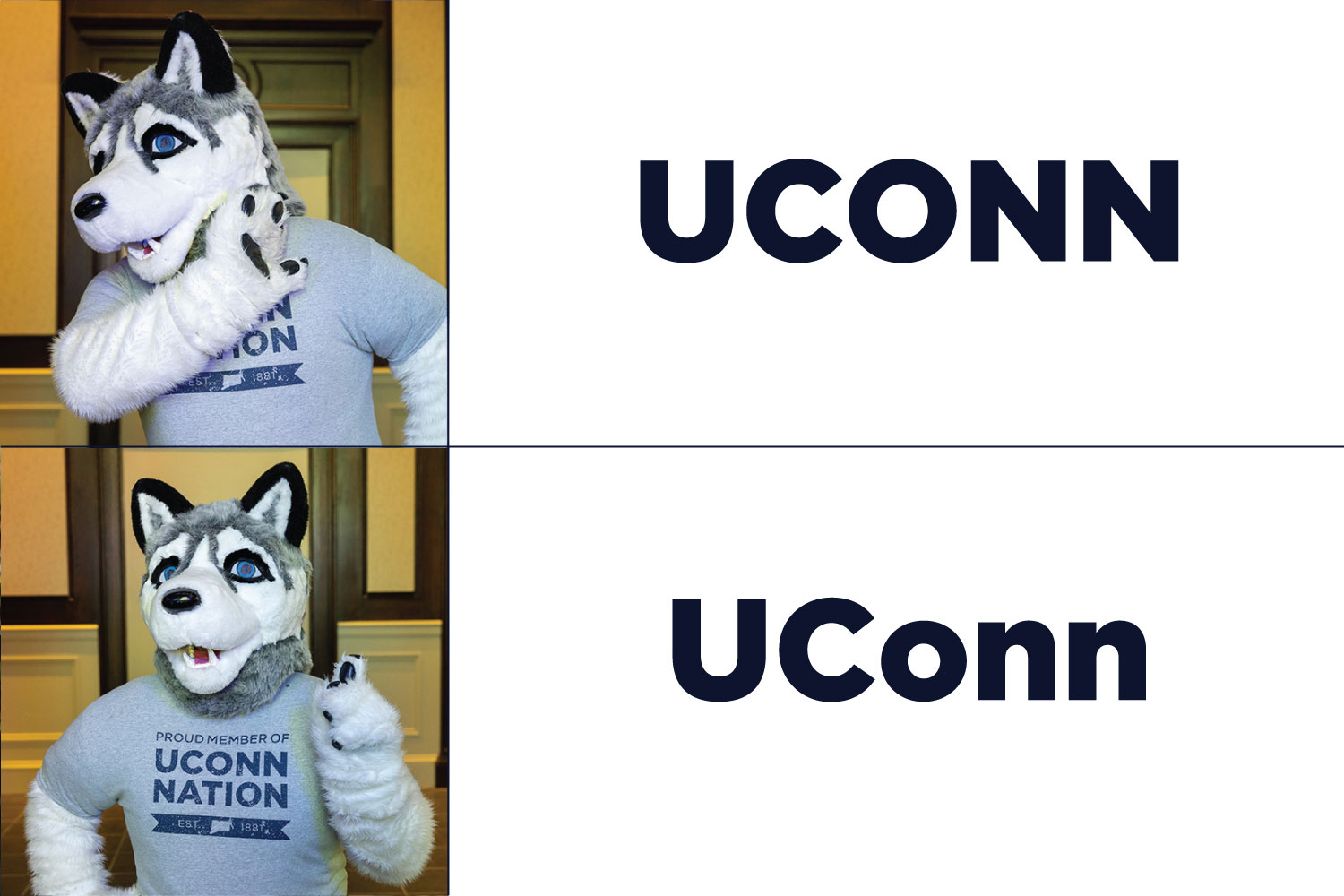 today.uconn.edu