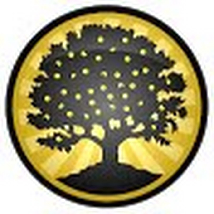 www.youtube.com