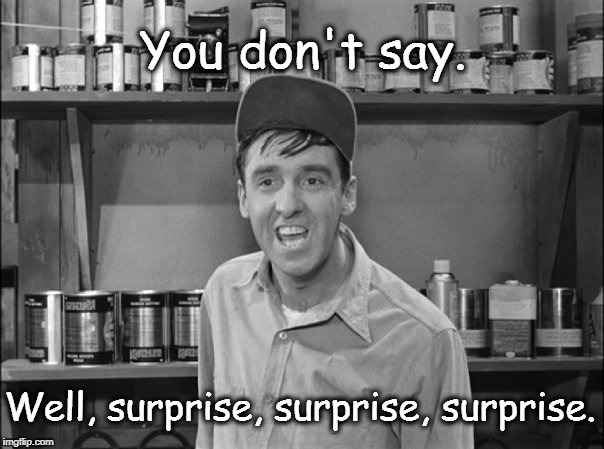 Image result for surprise surprise gomer pyle