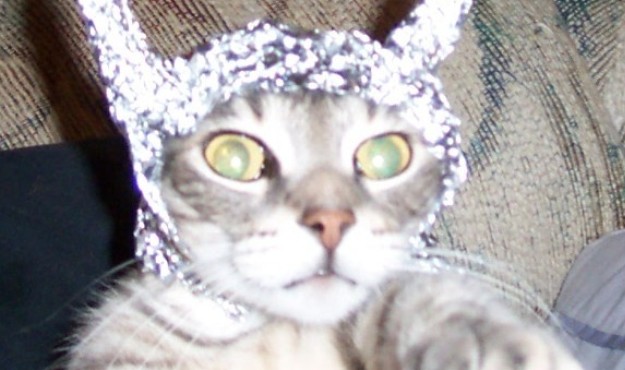tin-foil-hat.jpg