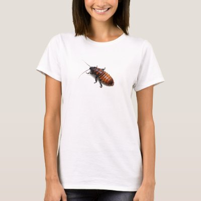 madagascar_hissing_cockroach_t_shirt-ra2965f5950104c8f9569b6aac4e97ddc_k2gml_400.jpg