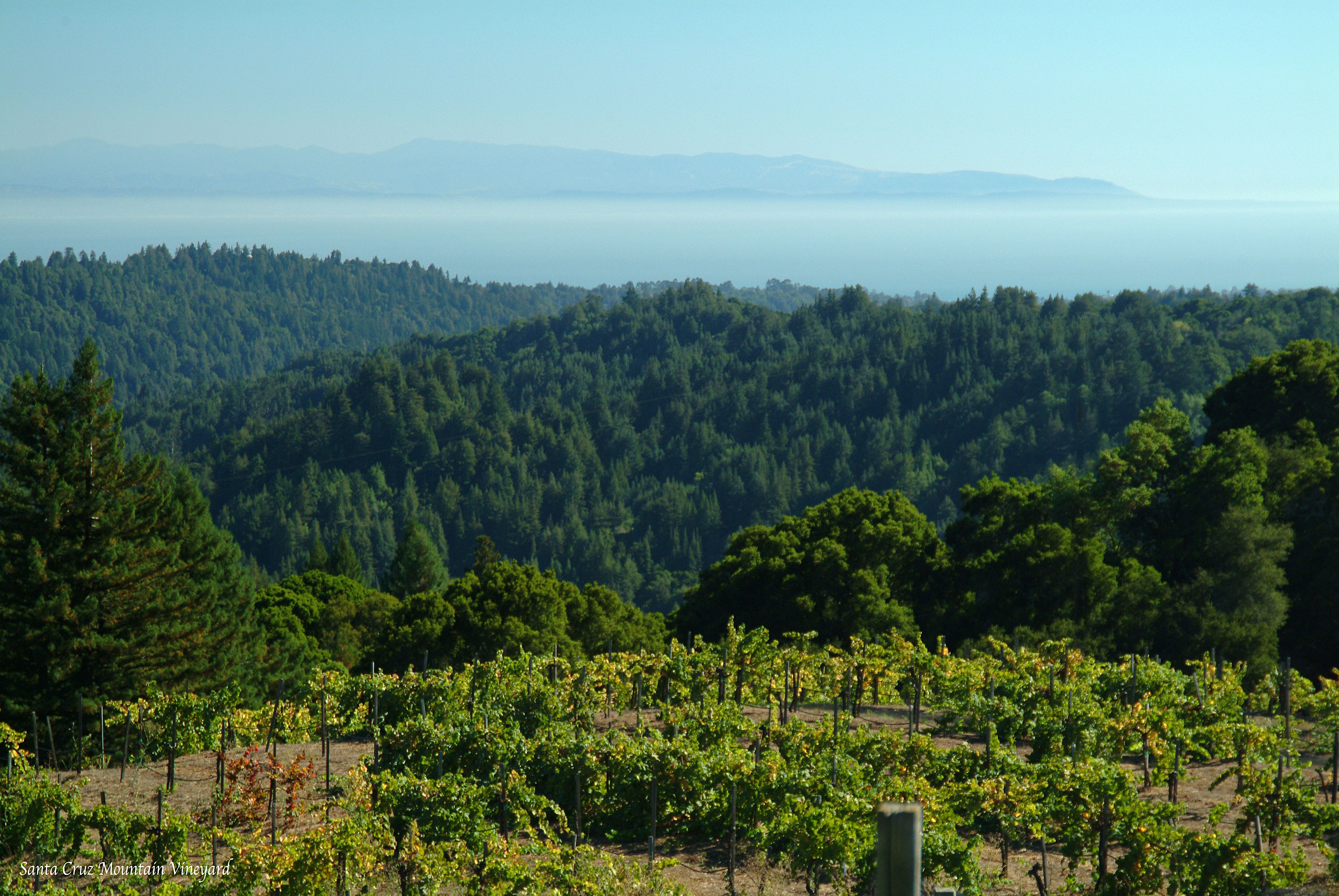 Image result for santa cruz mountains best views