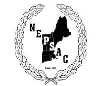 www.nsnsports.net