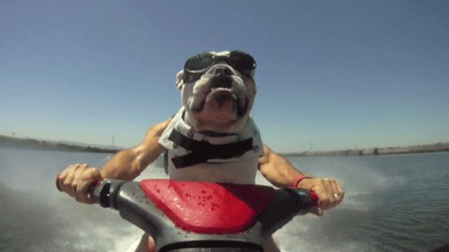 tumblr_moo19tTo6A1s63bb0o1_500.gif