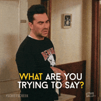 What Does That Mean Pop Tv GIF by Schitt's Creek