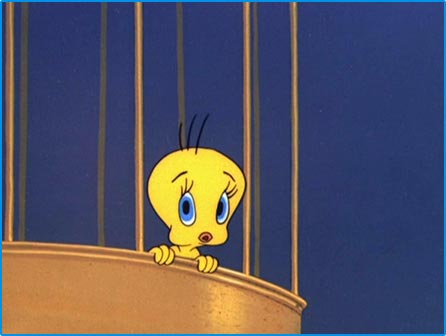 tweety-1.jpg