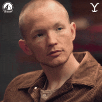 Looking Paramount Network GIF by Yellowstone