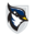 www.usjbluejays.com