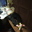 DSCN1178_small.JPG