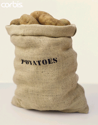 asackofpotatoes.png