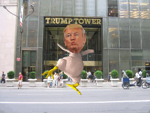 Donald_Trump_Chicken-trump-tow.gif