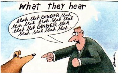 far-side-cartoon-blah-blah-ginger.jpg