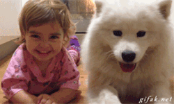tumblr_n1ghl2VJZj1r6jnjdo1_250.gif