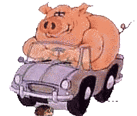 pig+driving+car.gif