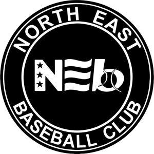 www.ne-baseball.com