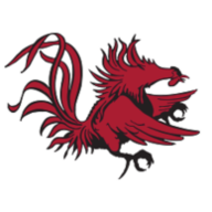 www.dailygamecock.com