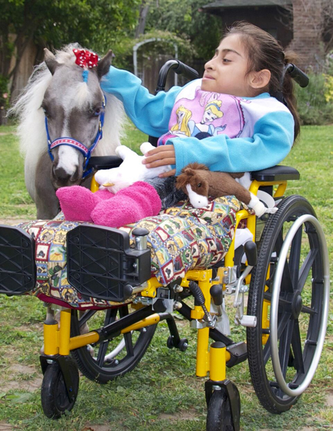 mini-therapy-girl-in-wheelchair.jpg