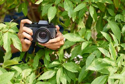 photographer-in-bushes-picture-id522621560