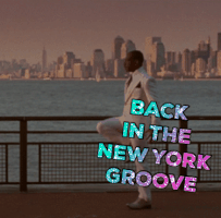 new york GIF by chuber channel