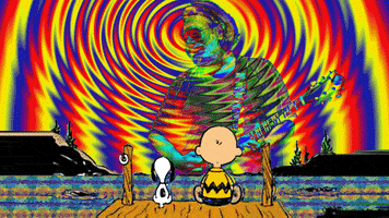Grateful Dead Peanuts GIF
