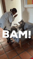 High Five Well Done GIF by TahKole Bio Integration