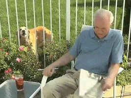 frustrated old man GIF