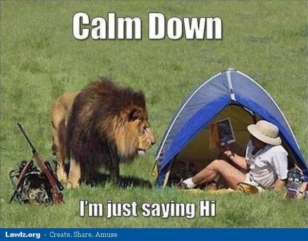 Calm-Down-I-Am-Just-Saying-Hi-Funny-Lion-Meme-Picture.jpg