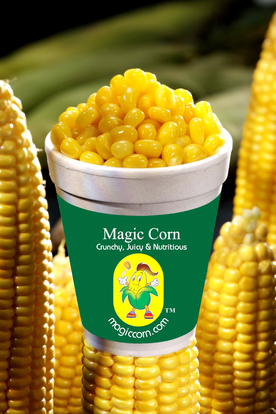 20160415120417Magic-Corn-Pictures-026.jpg